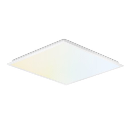 BackLite CWS - LP157883